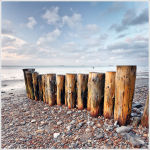 Weathered Wood