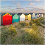 Sunnysands