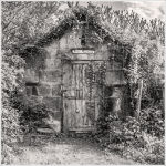 The Old Barn