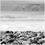 Compton Bay