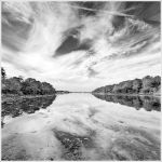 Shalfleet Estuary
