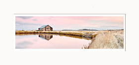 Panoramic mounted