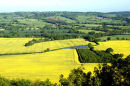 APEDALE FROM WENLOCK EDGE