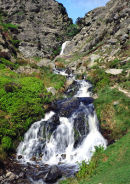 LIGHT SPOUT HOLLOW - 3