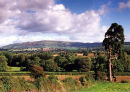 BROWN CLEE