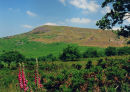 TITTERSTONE CLEE