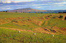 TITTERSTONE FROM CLEE BURF