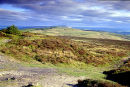 VIEW FROM THE SUMMIT