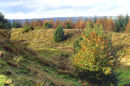 BURY DITCHES
