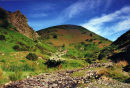 THE VALLEY IN SPRING