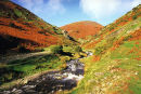 THE VALLEY IN AUTUMN