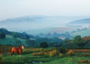 CLUN VALLEY FROM HOPESAY COMMON