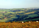 THE LONG MYND FROM HOPESAY COMMON