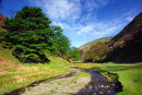 ASHES HOLLOW