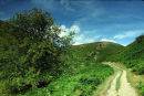 UPPER ASHES HOLLOW
