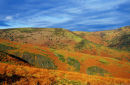 LONG MYND FROM THE BURWAY
