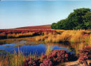 POLE BANK POND