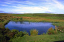 WILDMOOR POOL