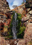 LIGHT SPOUT IN SUMMER