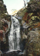 LIGHT SPOUT IN WINTER