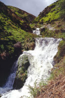 LIGHT SPOUT HOLLOW -1