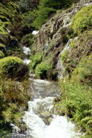 LIGHT SPOUT HOLLOW -2