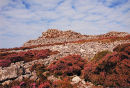 CRANBERRY ROCK
