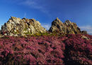 DEVIL'S CHAIR-1