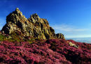 DEVIL'S CHAIR-2