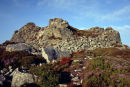 DEVIL'S CHAIR - 3