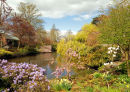 THE DINGLE IN SPRING