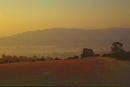 WENLOCK EDGE AT DAWN