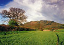THE WREKIN FROM RUSHTON