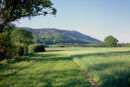THE WREKIN FROM THE NORTH