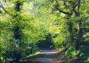 WREKIN WALK - 1