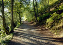 WREKIN WALK - 2