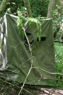Hide