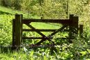 gate, no fence