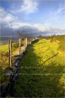 good fences make good neighbours
