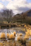 Pen y Fan