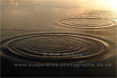 skimming stones and their ripples