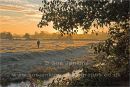 frosty morning walk