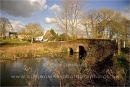 a winters' day
