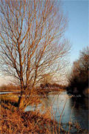 golden hour on the Frome