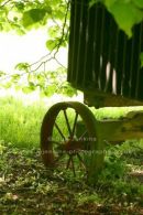 shepherds hut