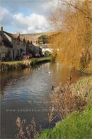 duck pond, Sutton Poyntz