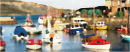 Lyme Regis primary