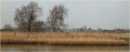 impressionist Wareham