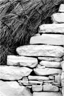 stark and rustic