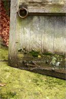 wooden gate